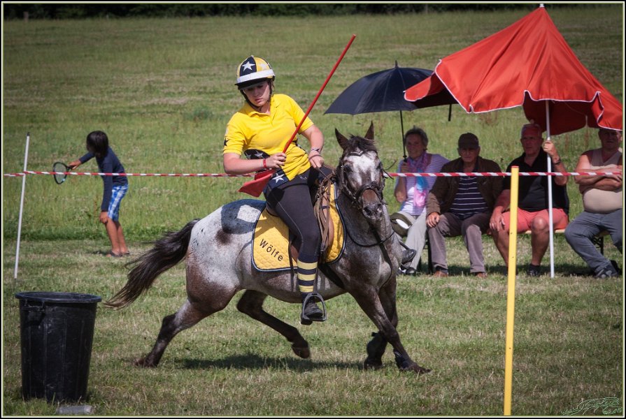 Mounted Games 297